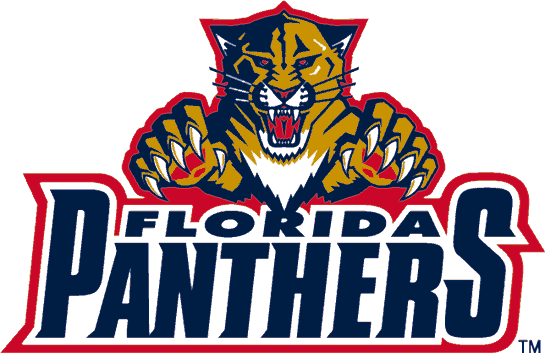 Florida Panthers 1999-2009 Wordmark Logo DIY iron on transfer (heat transfer)